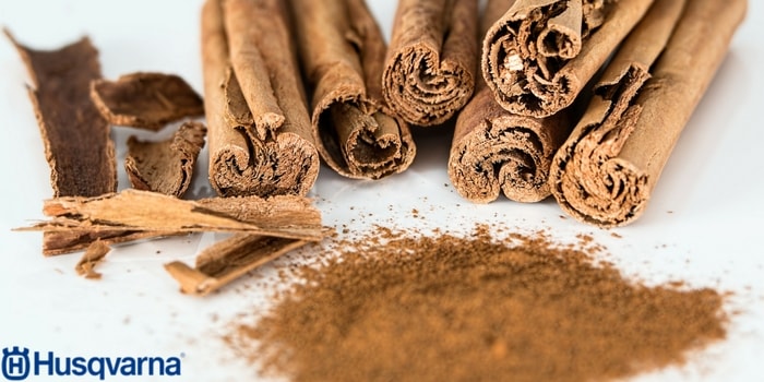 canela-en-polvo