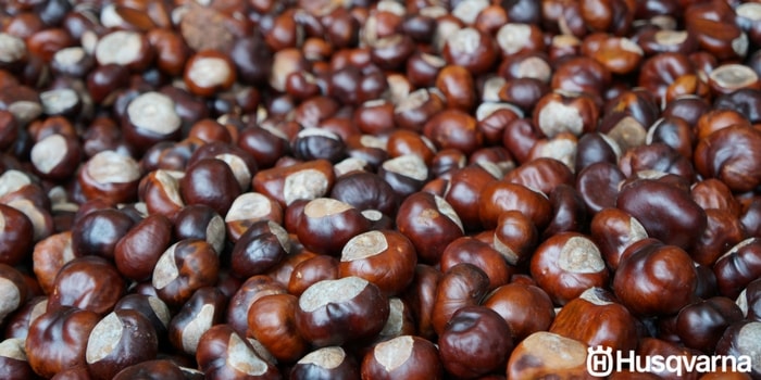 castañas