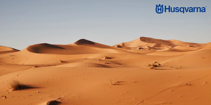 desierto