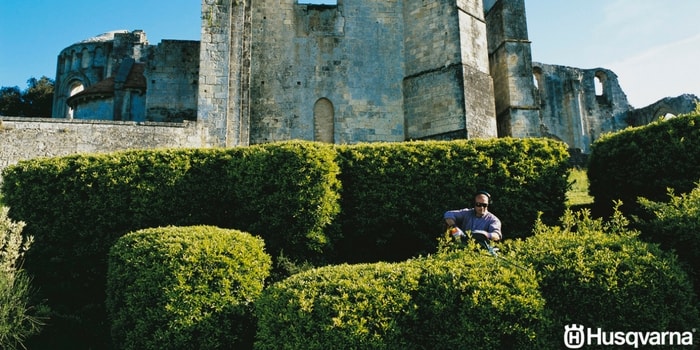 podar-árboles-y-arbustos