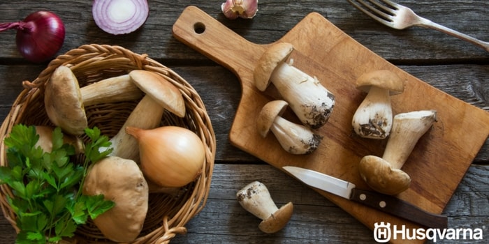 recetas-con-boletus