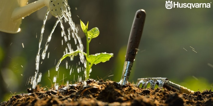 regar-planta