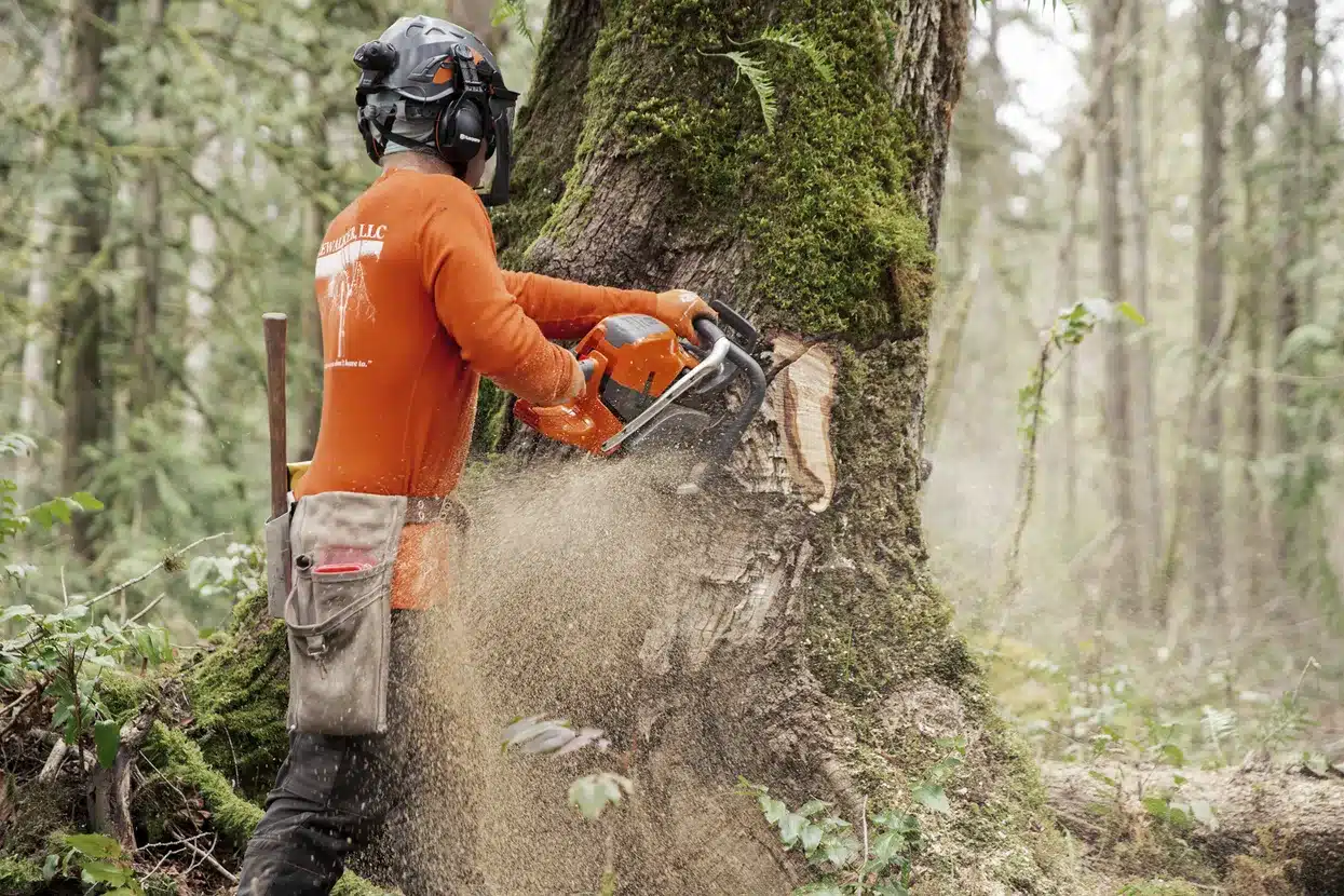 Motosierra 592 XP®