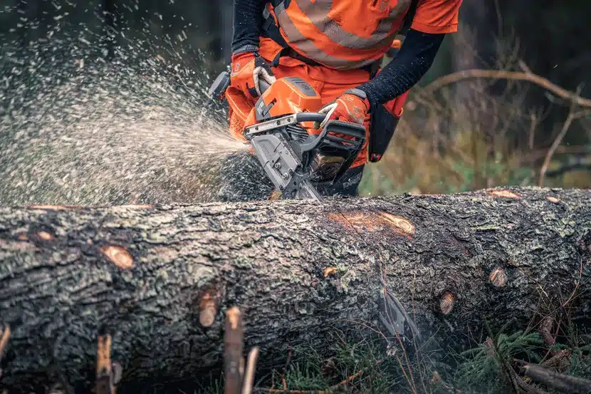 Motosierra 592 XP®