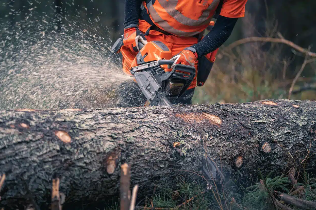 Motosierra 592 XP®