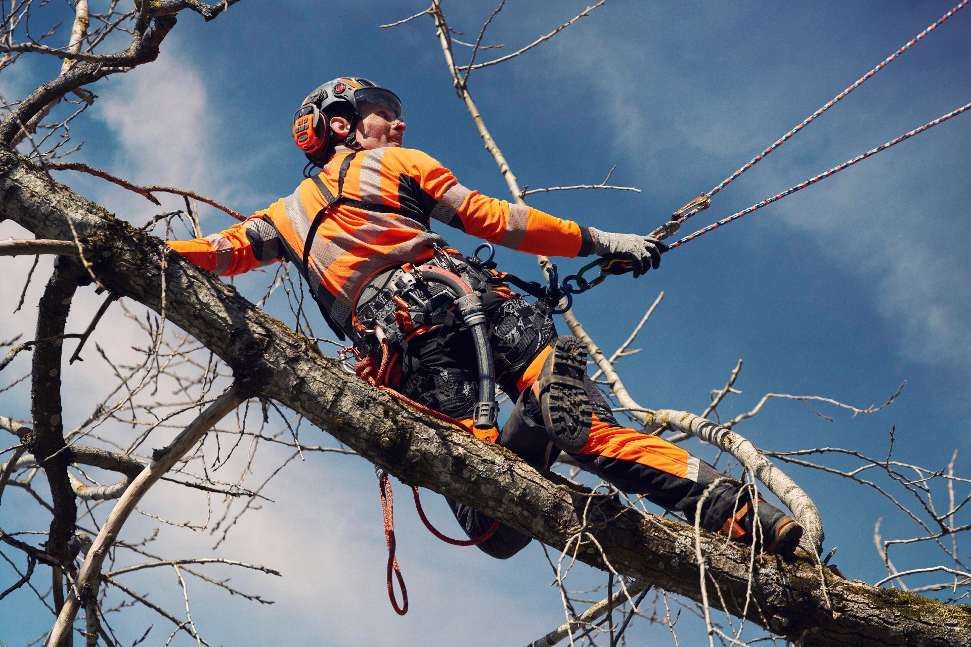 Arborista con equipamiento Husqvarna