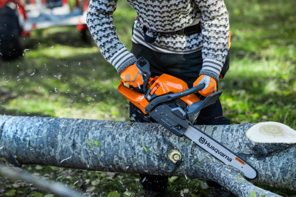 Trabajador forestal desrramando un árbol