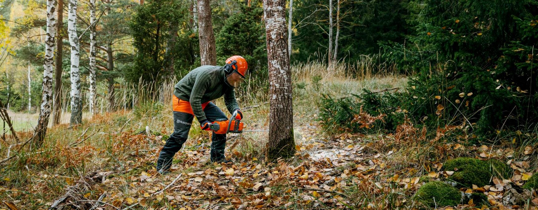 trabajador forestal talando árbol por el pie con motosierra y ropa de trabajo husqvarna