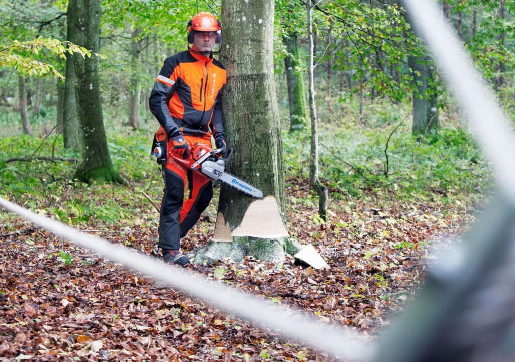 Cómo funciona un cabrestante de motosierra para uso forestal